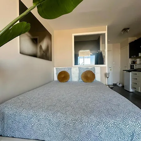 Апартаменты Naturiste Cap D'agde Heliopolis C 39