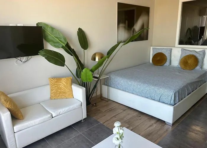 Naturiste Cap D'agde Heliopolis C 39 Agde